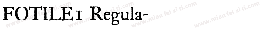 FOTILE1 Regula字体转换